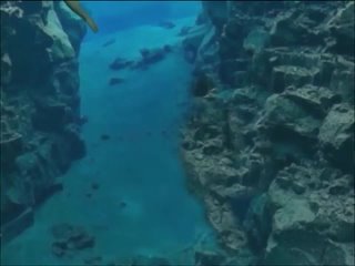 anime underwater full v deo whit sex